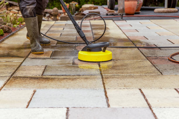 Best Fence Cleaning  in Lovelock, NV